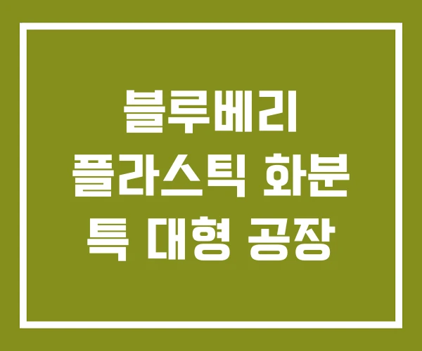 블루베리 플라스틱 화분 특 대형 공장