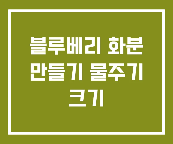 블루베리 화분 만들기 물주기 크기
