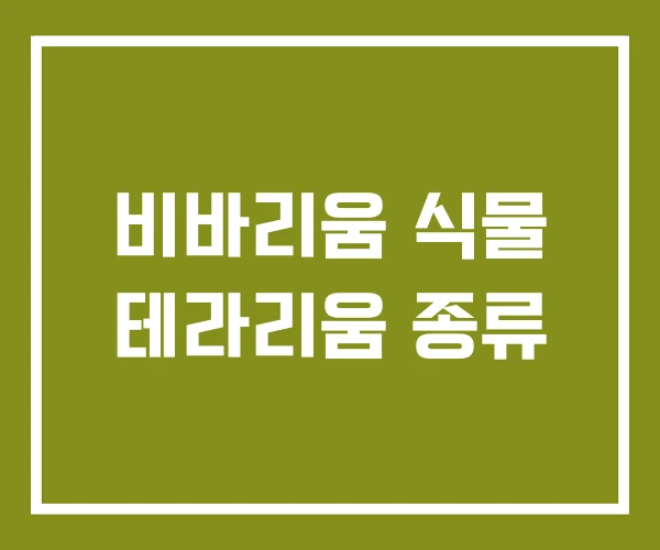 비바리움 식물 테라리움 종류