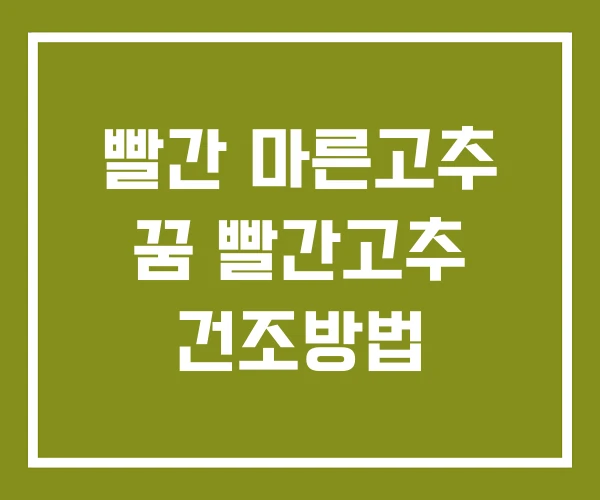 빨간 마른고추 꿈 빨간고추 건조방법