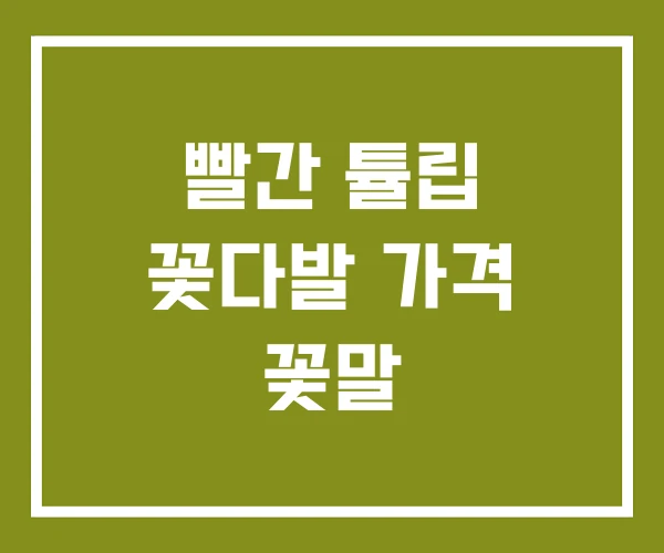 빨간 튤립 꽃다발 가격 꽃말