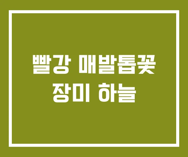 빨강 매발톱꽃 장미 하늘