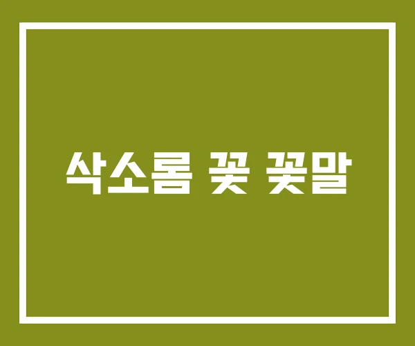 삭소롬 꽃 꽃말