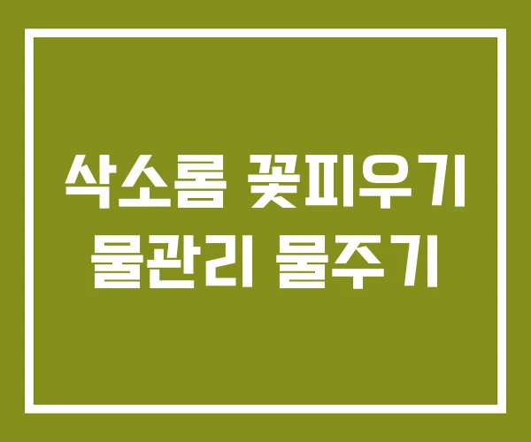 삭소롬 꽃피우기 물관리 물주기