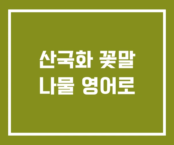 산국화 꽃말 나물 영어로