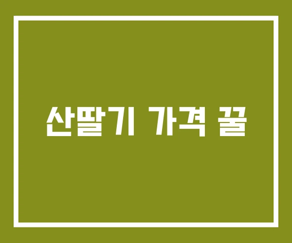 산딸기 가격 꿀