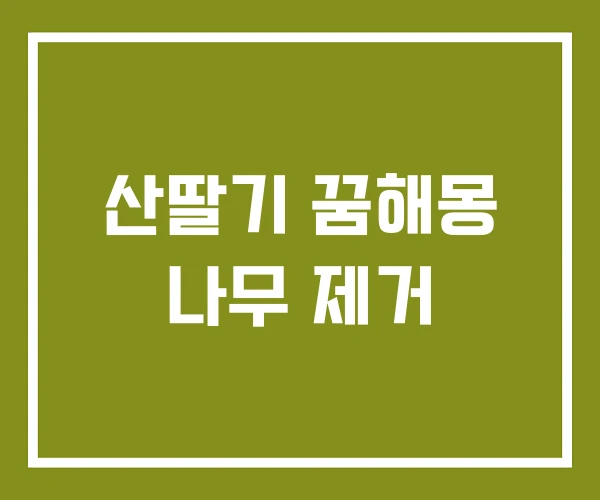 산딸기 꿈해몽 나무 제거