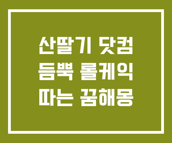 산딸기 닷컴 듬뿍 롤케익 따는 꿈해몽