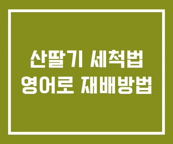 산딸기 세척법 영어로 재배방법