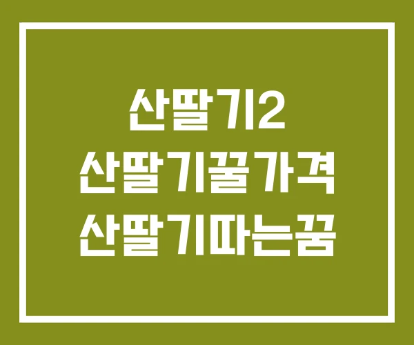산딸기2 산딸기꿀가격 산딸기따는꿈