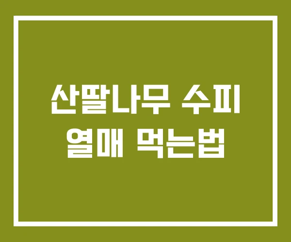 산딸나무 수피 열매 먹는법
