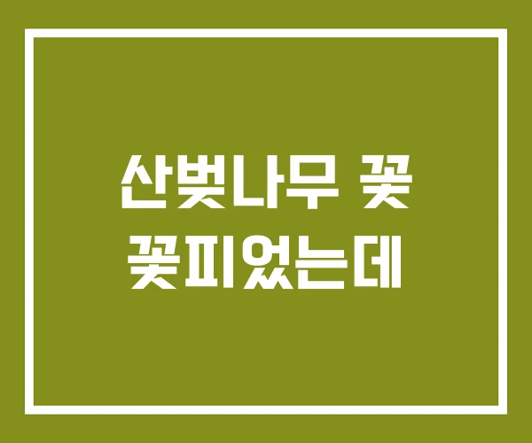 산벚나무 꽃 꽃피었는데