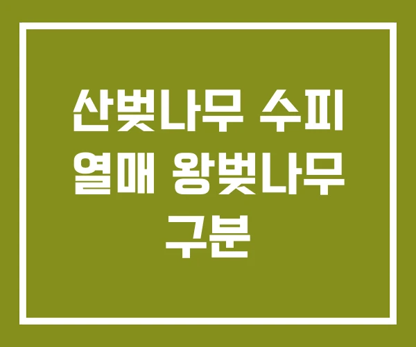 산벚나무 수피 열매 왕벚나무 구분