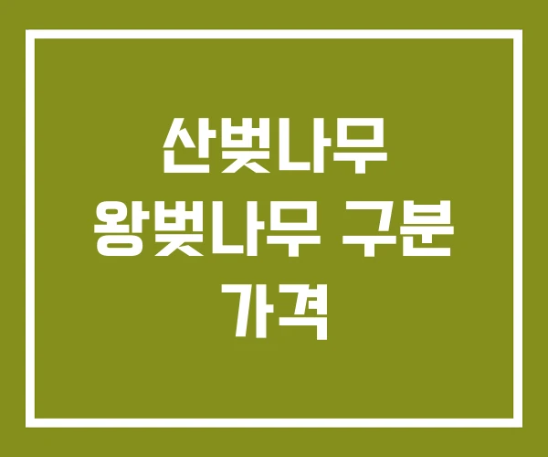 산벚나무 왕벚나무 구분 가격