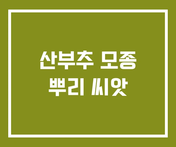 산부추 모종 뿌리 씨앗