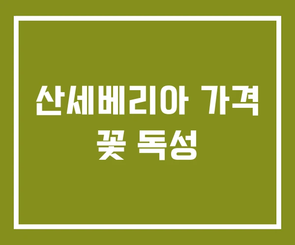 산세베리아 가격 꽃 독성