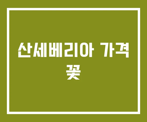 산세베리아 가격 꽃