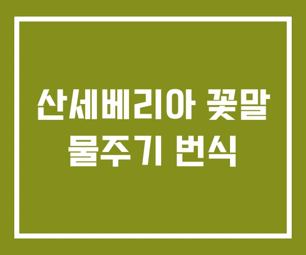 산세베리아 꽃말 물주기 번식