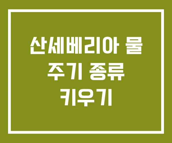 산세베리아 물 주기 종류 키우기