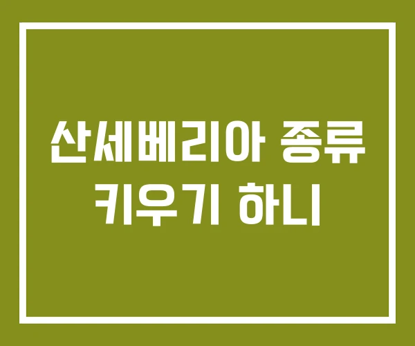 산세베리아 종류 키우기 하니