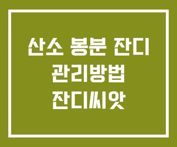 산소 봉분 잔디 관리방법 잔디씨앗