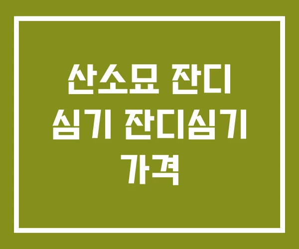 산소묘 잔디 심기 잔디심기 가격