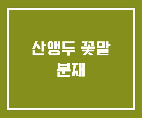 산앵두 꽃말 분재