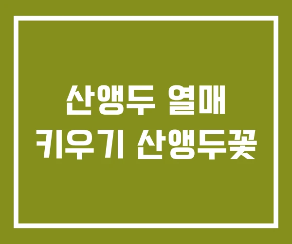 산앵두 열매 키우기 산앵두꽃