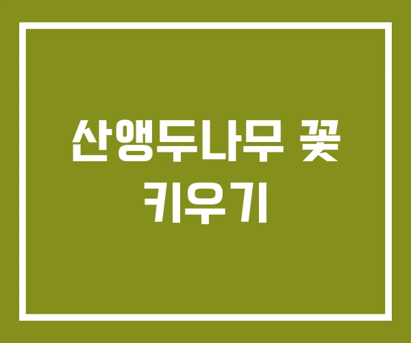 산앵두나무 꽃 키우기