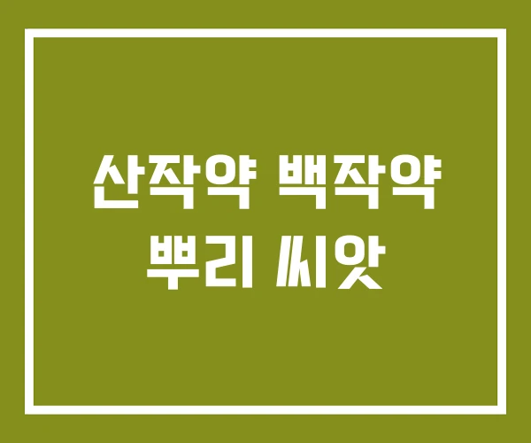 산작약 백작약 뿌리 씨앗