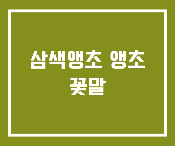 삼색앵초 앵초 꽃말