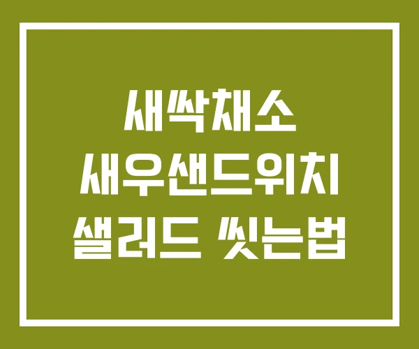 새싹채소 새우샌드위치 샐러드 씻는법