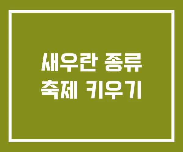 새우란 종류 축제 키우기