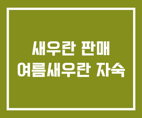 새우란 판매 여름새우란 자숙