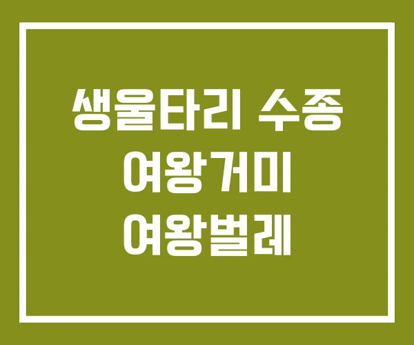 생울타리 수종 여왕거미 여왕벌레