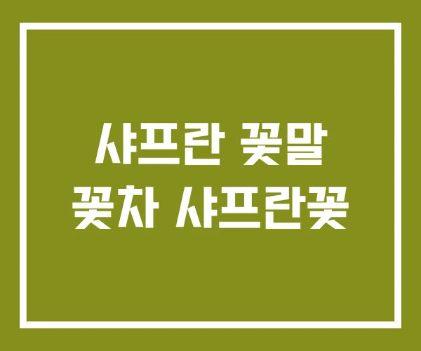 샤프란 꽃말 꽃차 샤프란꽃
