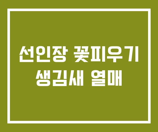 선인장 꽃피우기 생김새 열매