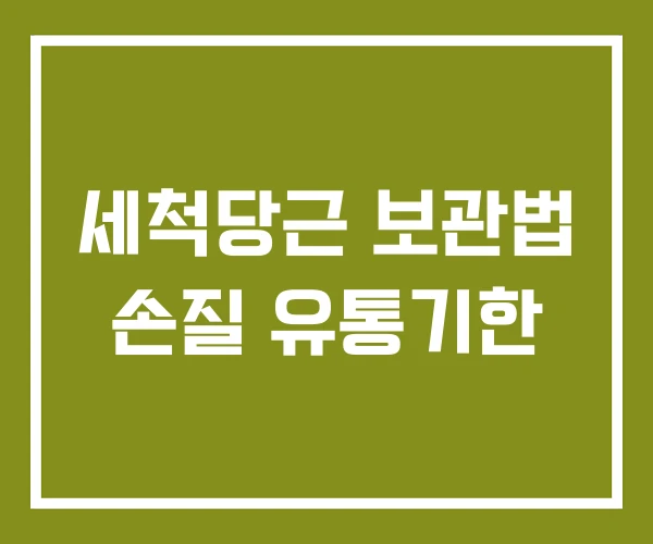 세척당근 보관법 손질 유통기한