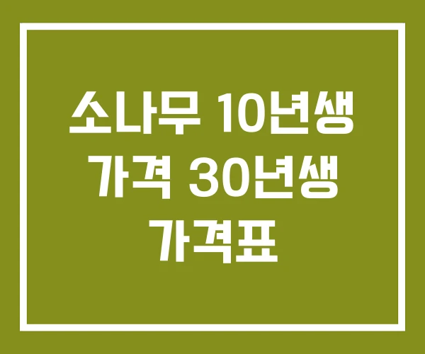 소나무 10년생 가격 30년생 가격표