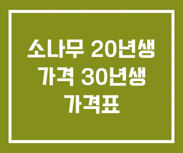 소나무 20년생 가격 30년생 가격표