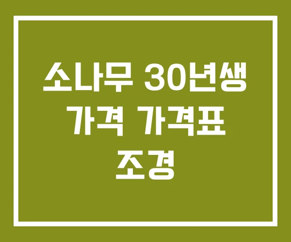 소나무 30년생 가격 가격표 조경