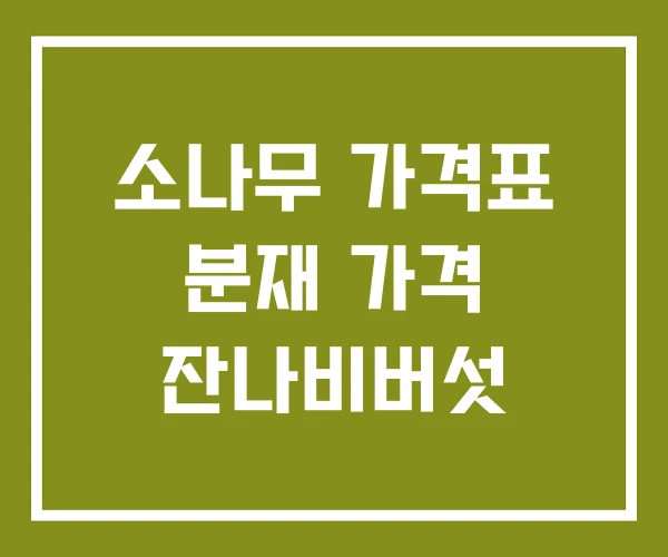 소나무 가격표 분재 가격 잔나비버섯
