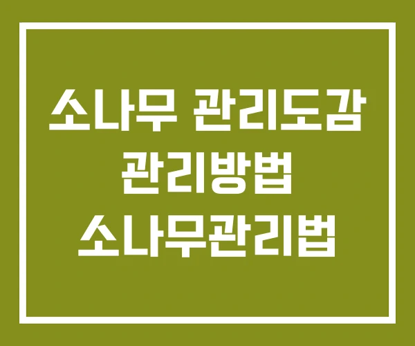 소나무 관리도감 관리방법 소나무관리법