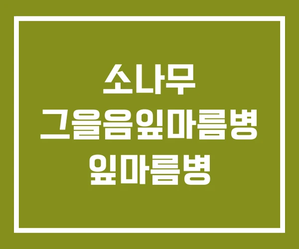 소나무 그을음잎마름병 잎마름병