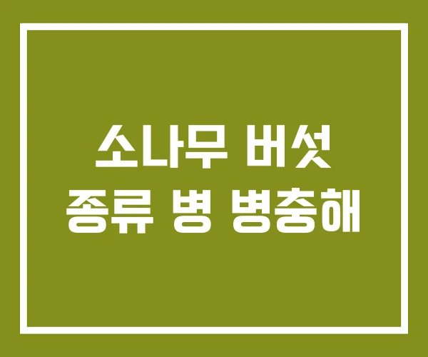 소나무 버섯 종류 병 병충해