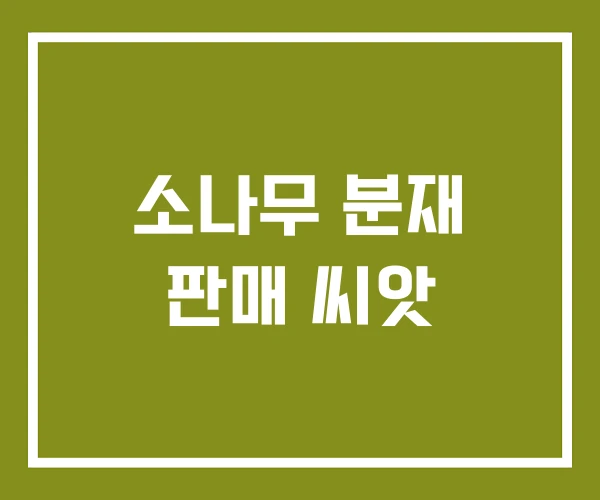 소나무 분재 판매 씨앗