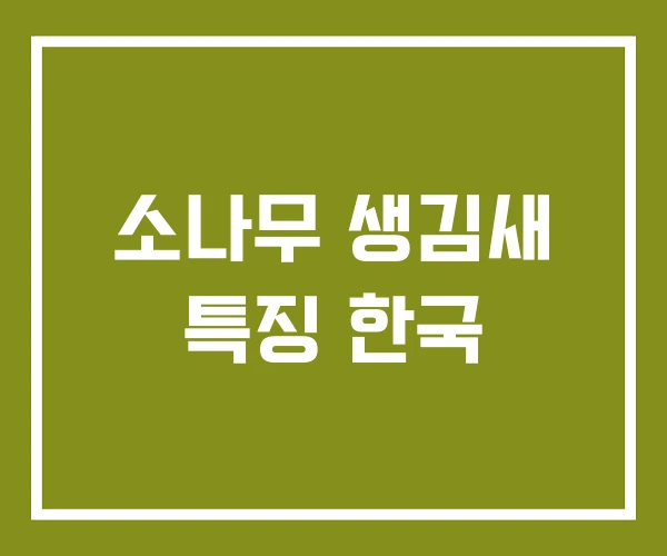 소나무 생김새 특징 한국