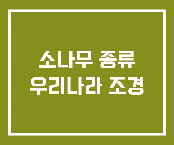 소나무 종류 우리나라 조경