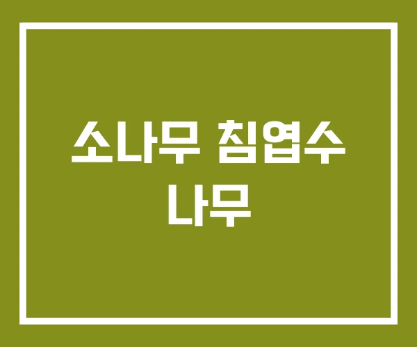 소나무 침엽수 나무