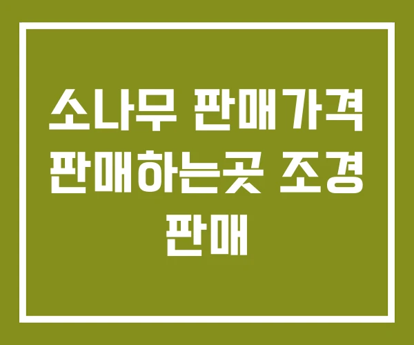 소나무 판매가격 판매하는곳 조경 판매